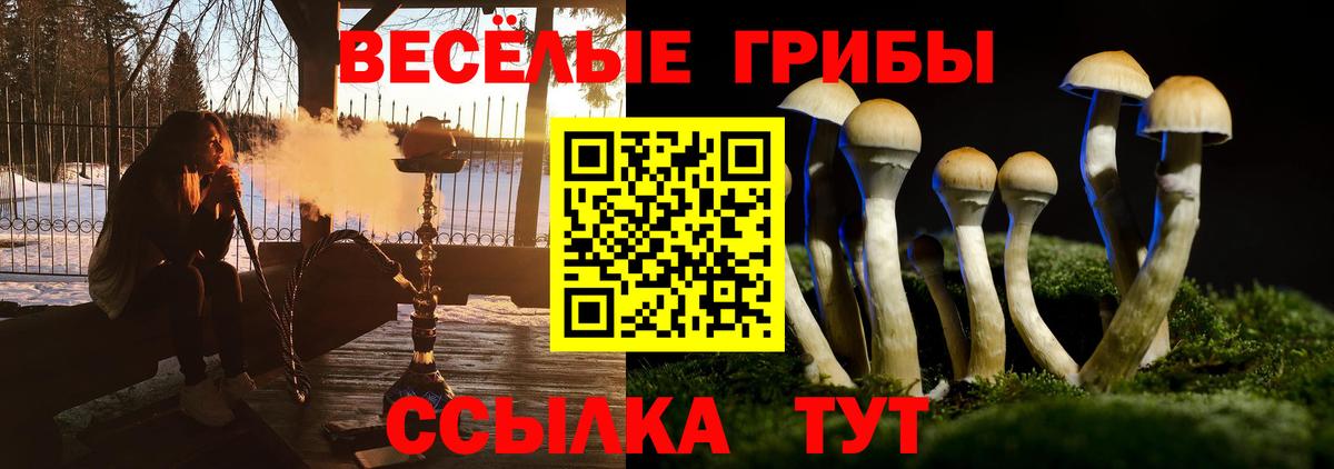 Галлюциногенные грибы GOLDEN TEACHER Королёв