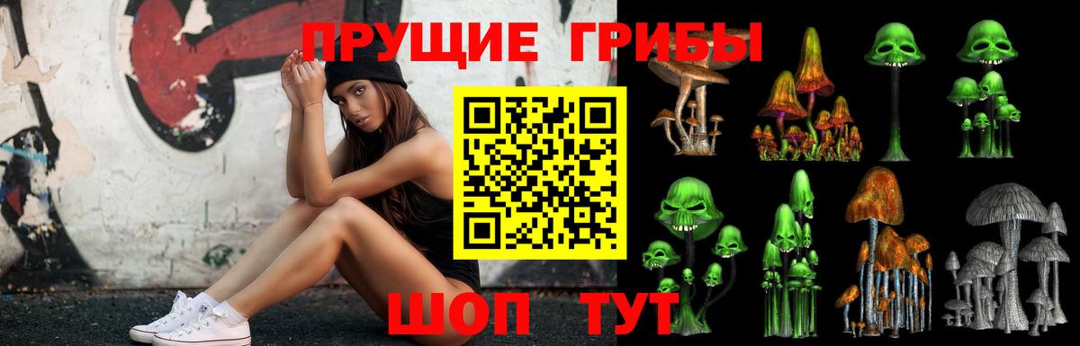 Королёв  Галлюциногенные грибы GOLDEN TEACHER  Псилоцибиновые грибы Psilocybine cubensis  Вход с VPN 